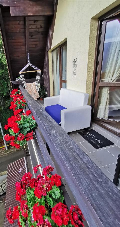 Apartament Kalinderu K1 Busteni Exterior photo